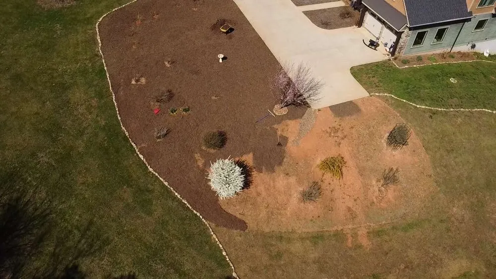 Local lawn care service in Asheville, NC - TopLine