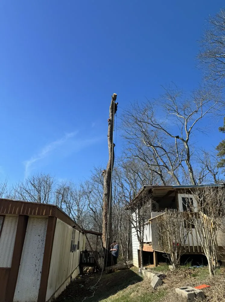 Reliable landscaping services for homes across Asheville, NC - TopLine