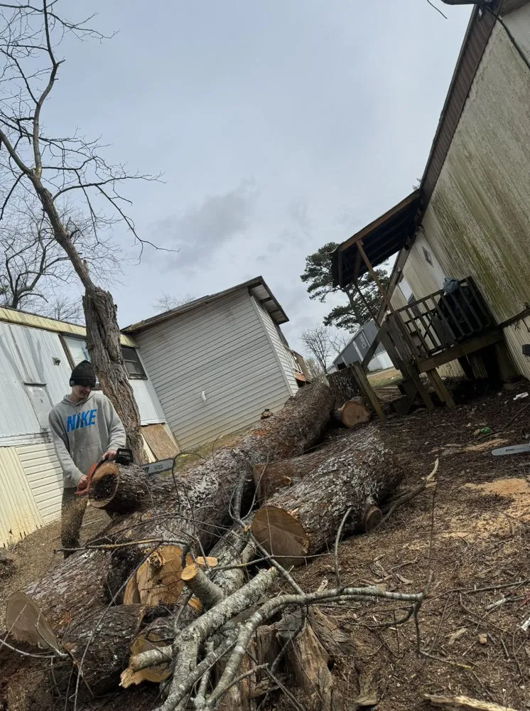 Trusted residential landscaping in Asheville, NC by TopLine