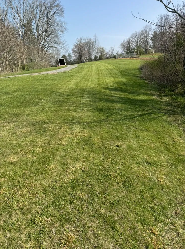 Affordable yard cleanup service in Asheville, NC by TopLine