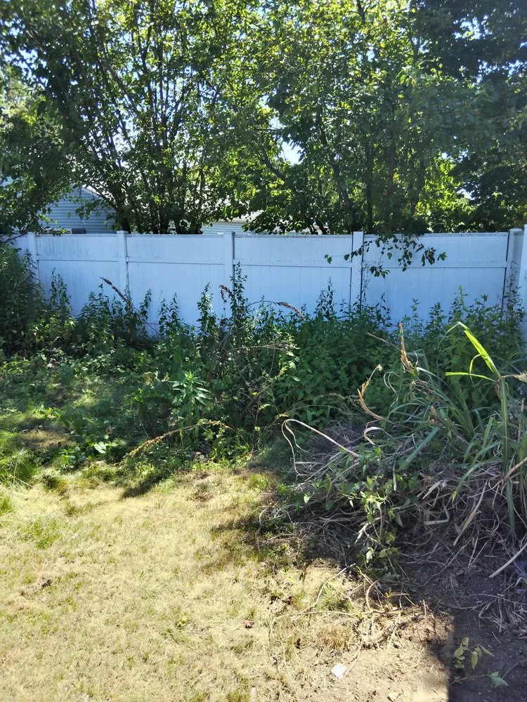 Top-rated landscape design experts serving Enfield, CT - TopLine Landscaping