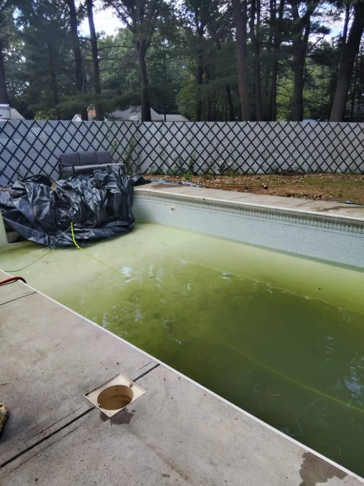 Top-rated outdoor landscaping for year-round maintenance in Enfield, CT by TopLine Landscaping