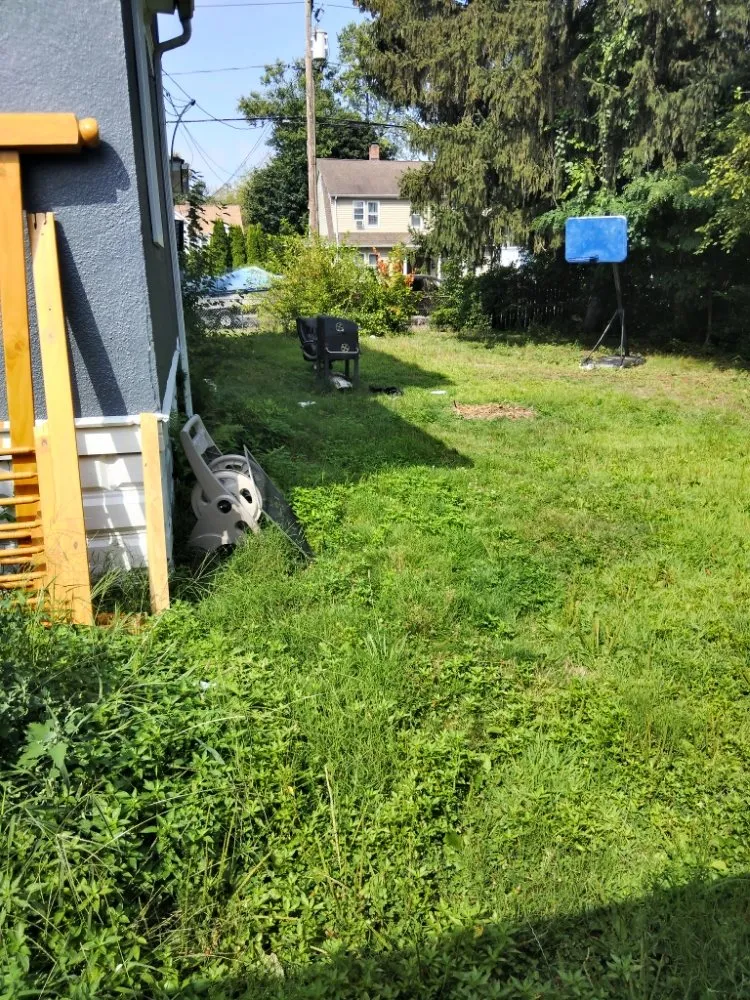 Custom yard maintenance for residential properties across Enfield, CT - TopLine Landscaping