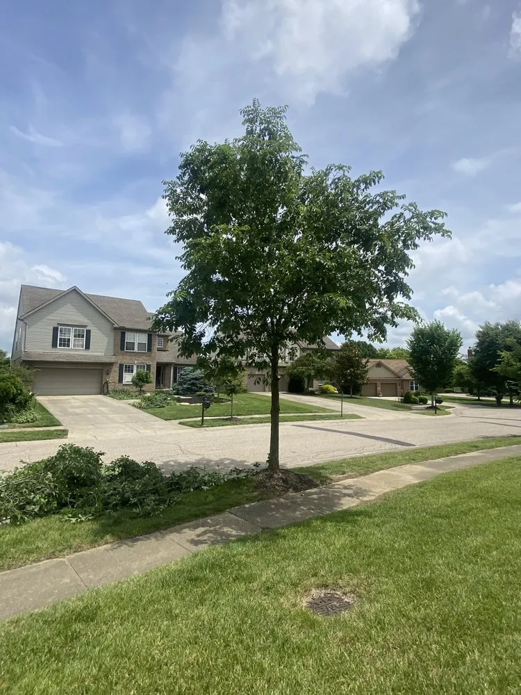 Reliable outdoor landscaping for beautiful yards in Springfield, OH by Topline Tree Service