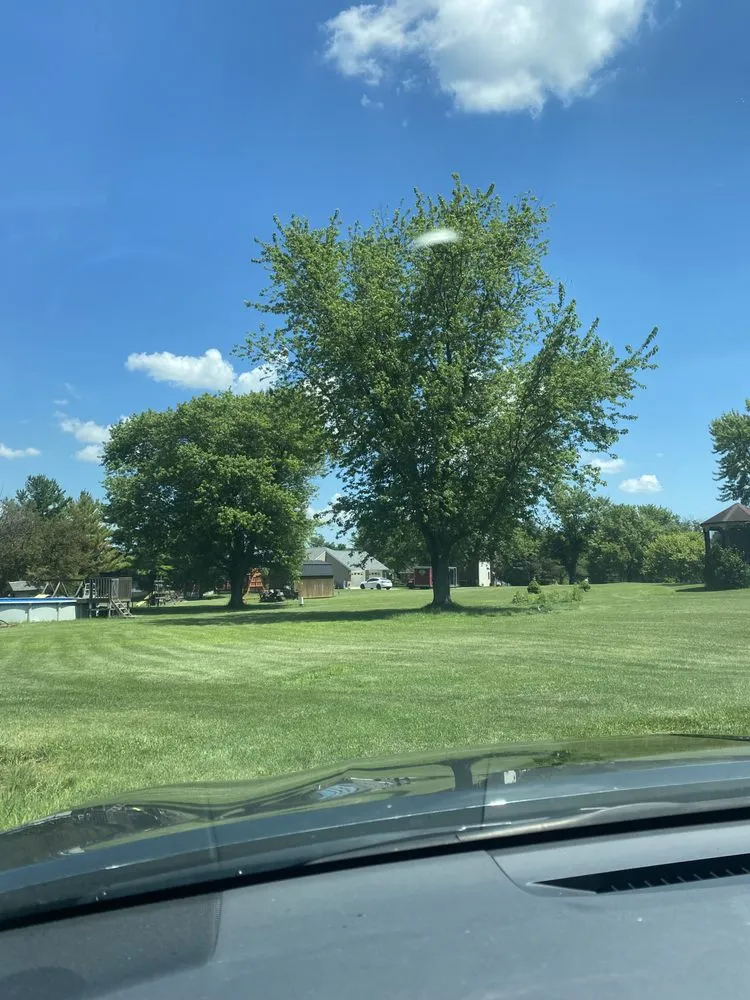 Professional landscape design experts serving Springfield, OH - Topline Tree Service