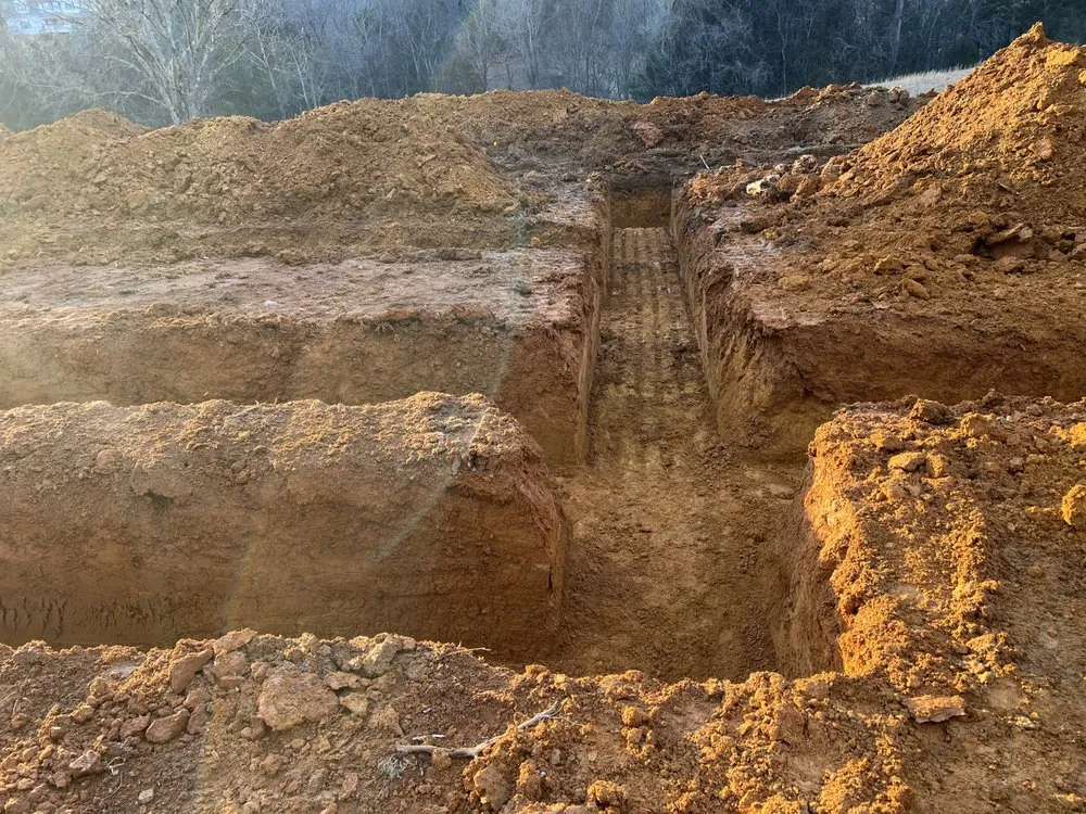 Reliable yard cleanup service experts serving White Pine, TN - TopNotch Excavating