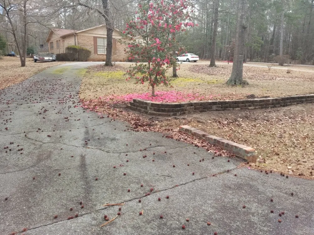 Local yard maintenance for beautiful yards in LaGrange, GA by Topnotch landscaping and outdoor services