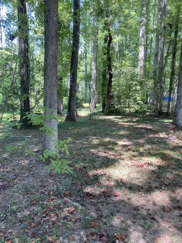 Professional residential landscaping experts serving LaGrange, GA - Topnotch landscaping and outdoor services