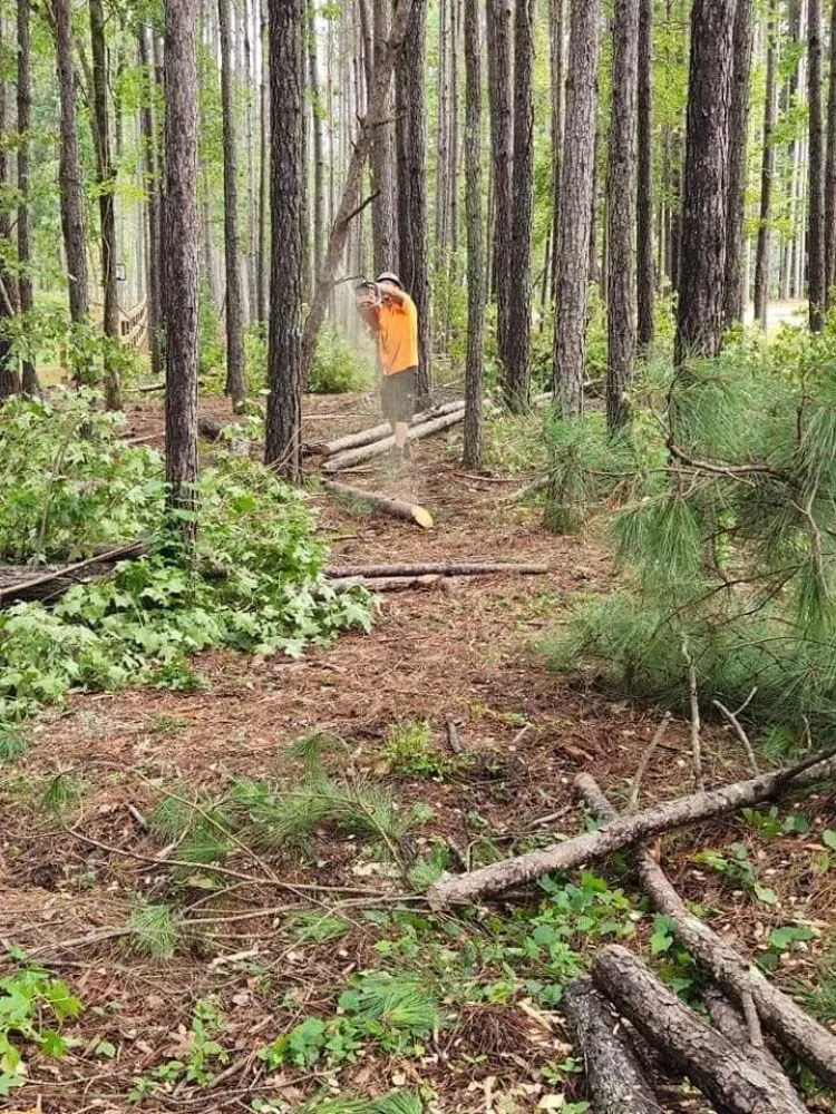 Custom garden landscaping near you across LaGrange, GA - Topnotch landscaping and outdoor services