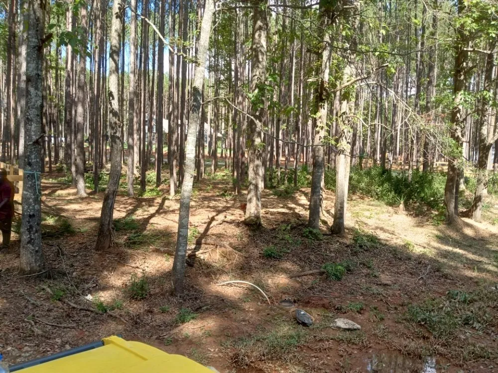 Affordable yard maintenance in LaGrange, GA by Topnotch landscaping and outdoor services