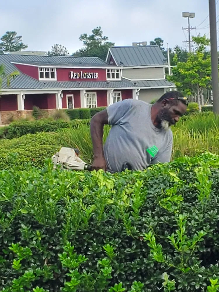 Affordable lawn mowing service in Myrtle Beach, SC - Topnotch Landscaping