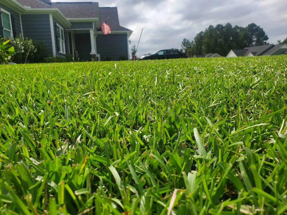 Affordable landscape design in Myrtle Beach, SC by Topnotch Landscaping