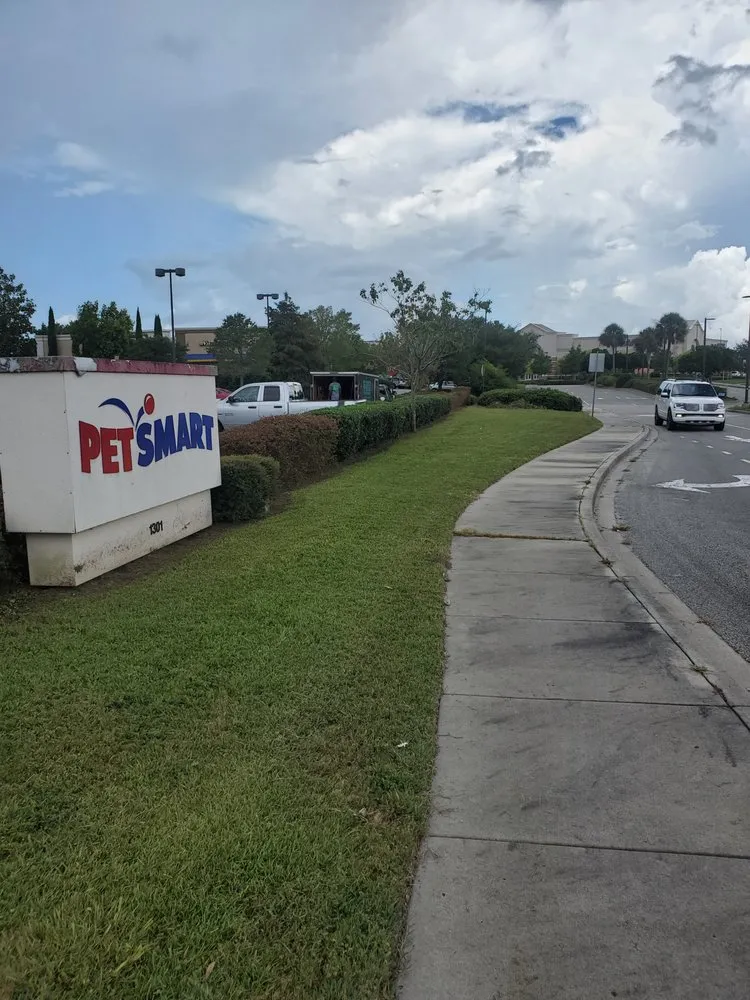 Local lawn care service in Myrtle Beach, SC by Topnotch Landscaping