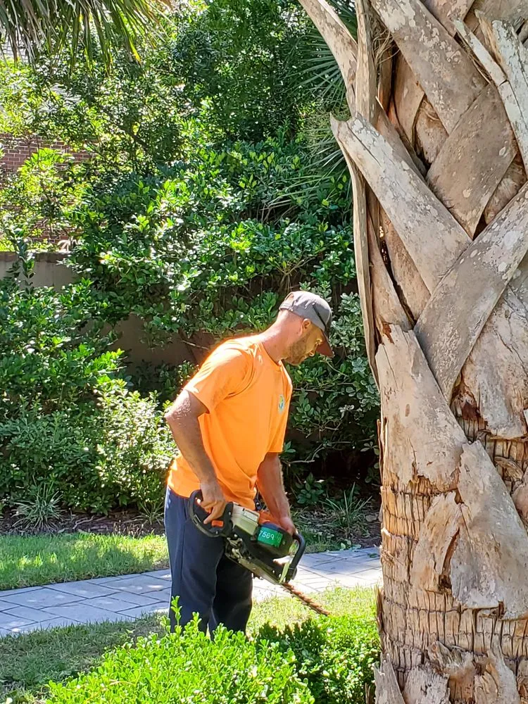 Reliable landscape installation in Myrtle Beach, SC by Topnotch Landscaping