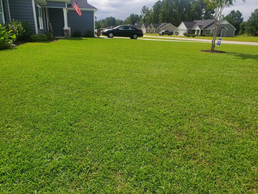 Professional lawn care service for outdoor upgrades across Myrtle Beach, SC - Topnotch Landscaping
