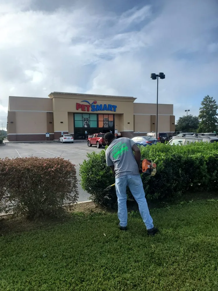 Professional residential landscaping experts serving Myrtle Beach, SC - Topnotch Landscaping