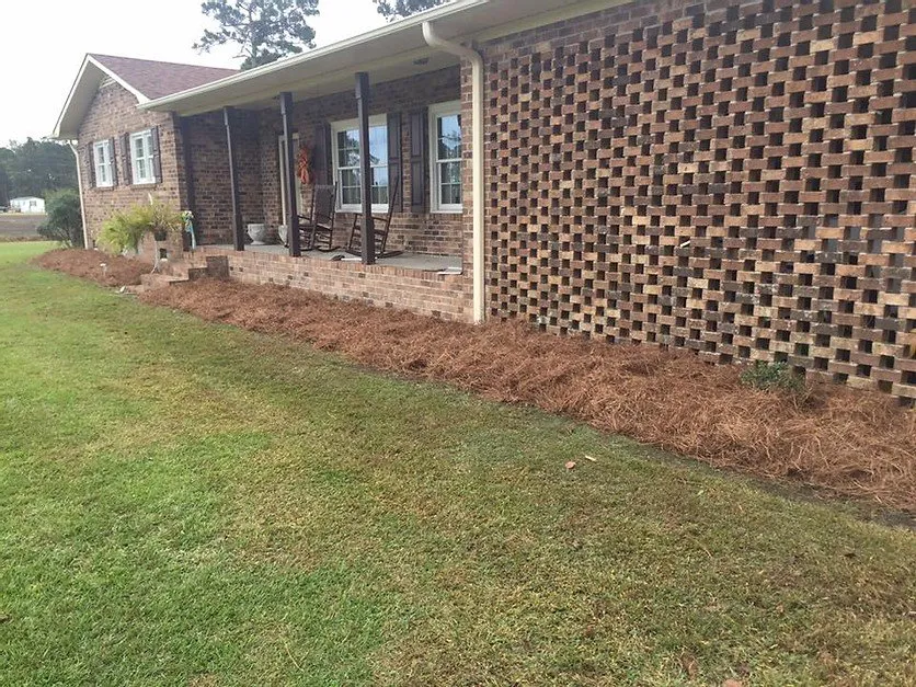 Expert yard cleanup service near you in Myrtle Beach, SC by Topnotch Landscaping
