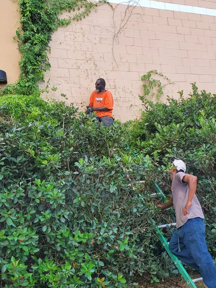 Expert landscaping services for beautiful yards in Myrtle Beach, SC by Topnotch Landscaping