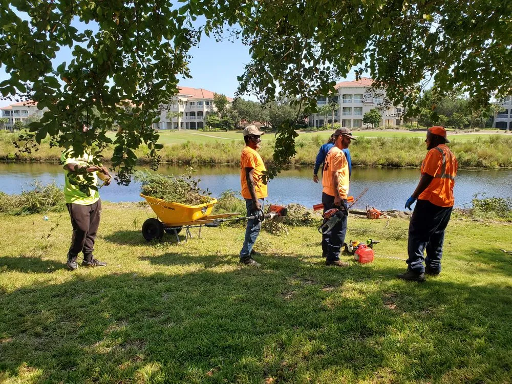 Reliable residential landscaping near you across Myrtle Beach, SC - Topnotch Landscaping
