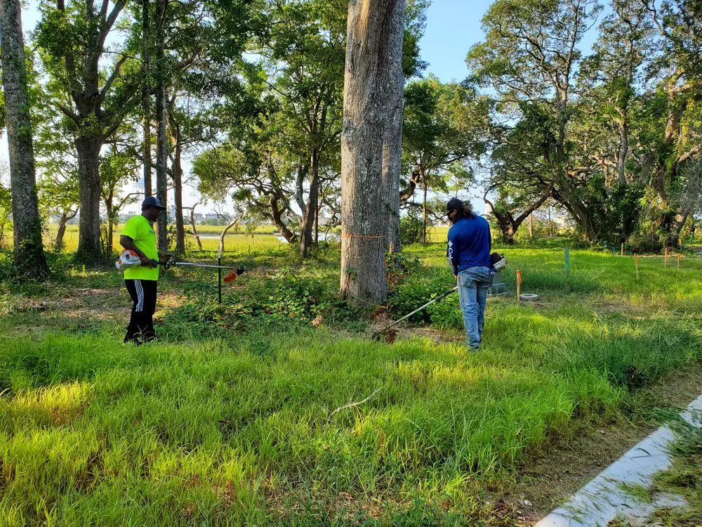 Reliable garden landscaping experts serving Myrtle Beach, SC - Topnotch Landscaping