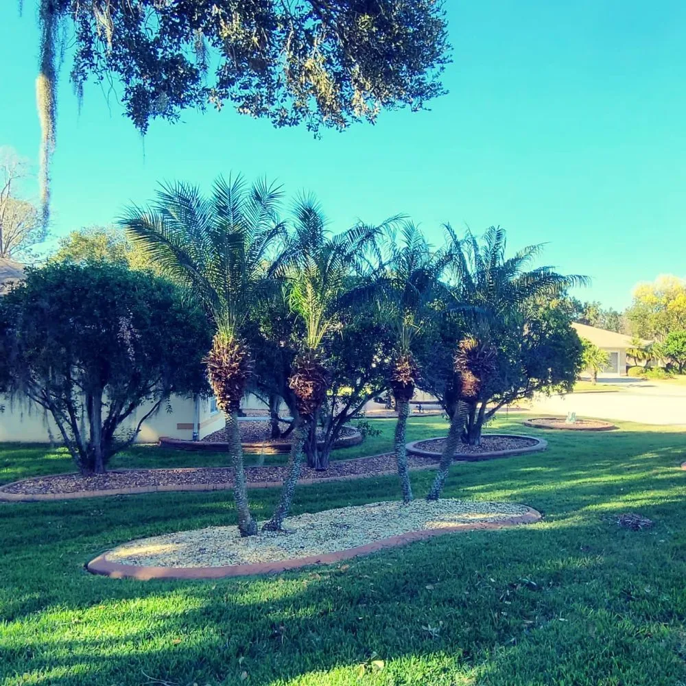 Reliable residential landscaping in Umatilla, FL by TopNotch Landscaping Services