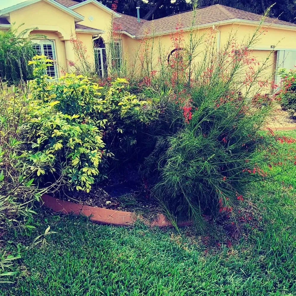 Expert landscape installation for year-round maintenance across Umatilla, FL - TopNotch Landscaping Services