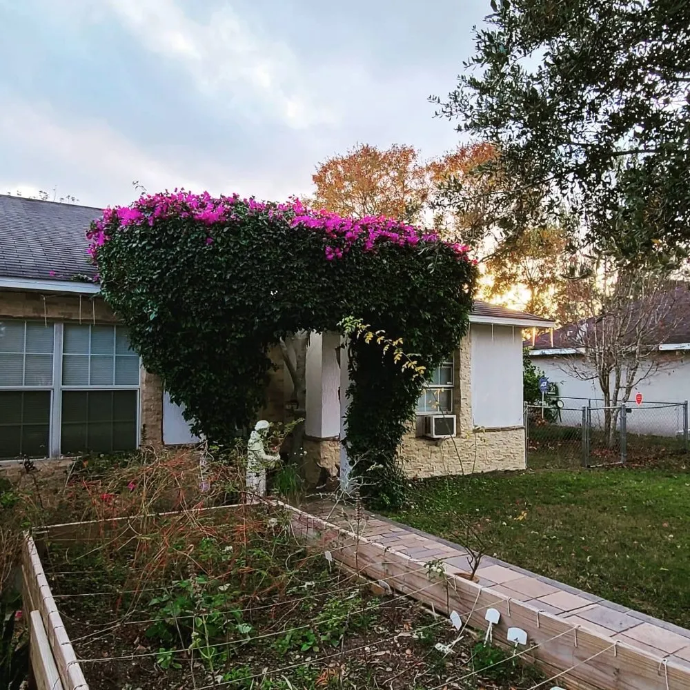 Expert landscape installation experts serving Umatilla, FL - TopNotch Landscaping Services