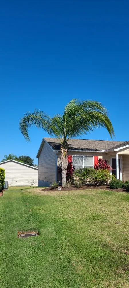 Local landscape installation in Umatilla, FL - TopNotch Landscaping Services