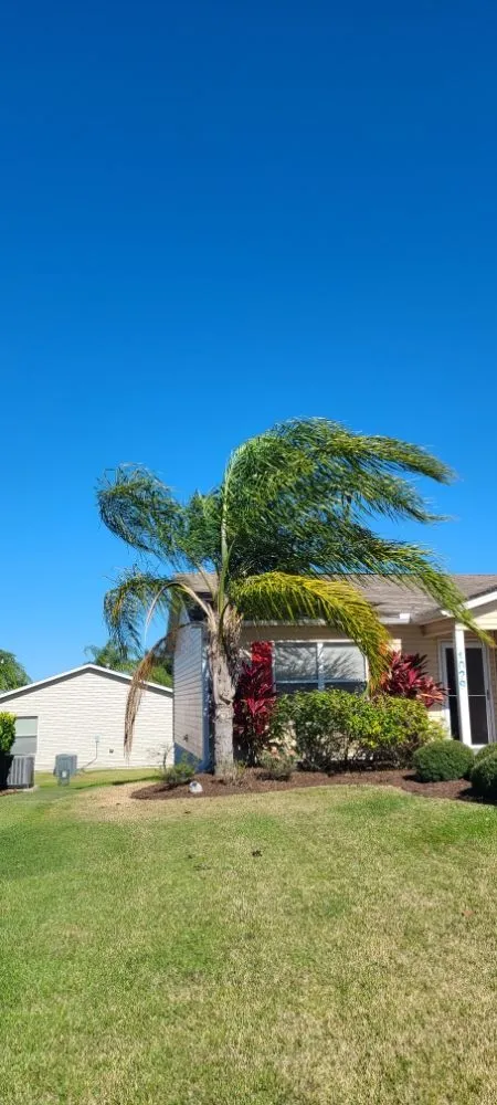 Local landscaping services for residential properties across Umatilla, FL - TopNotch Landscaping Services