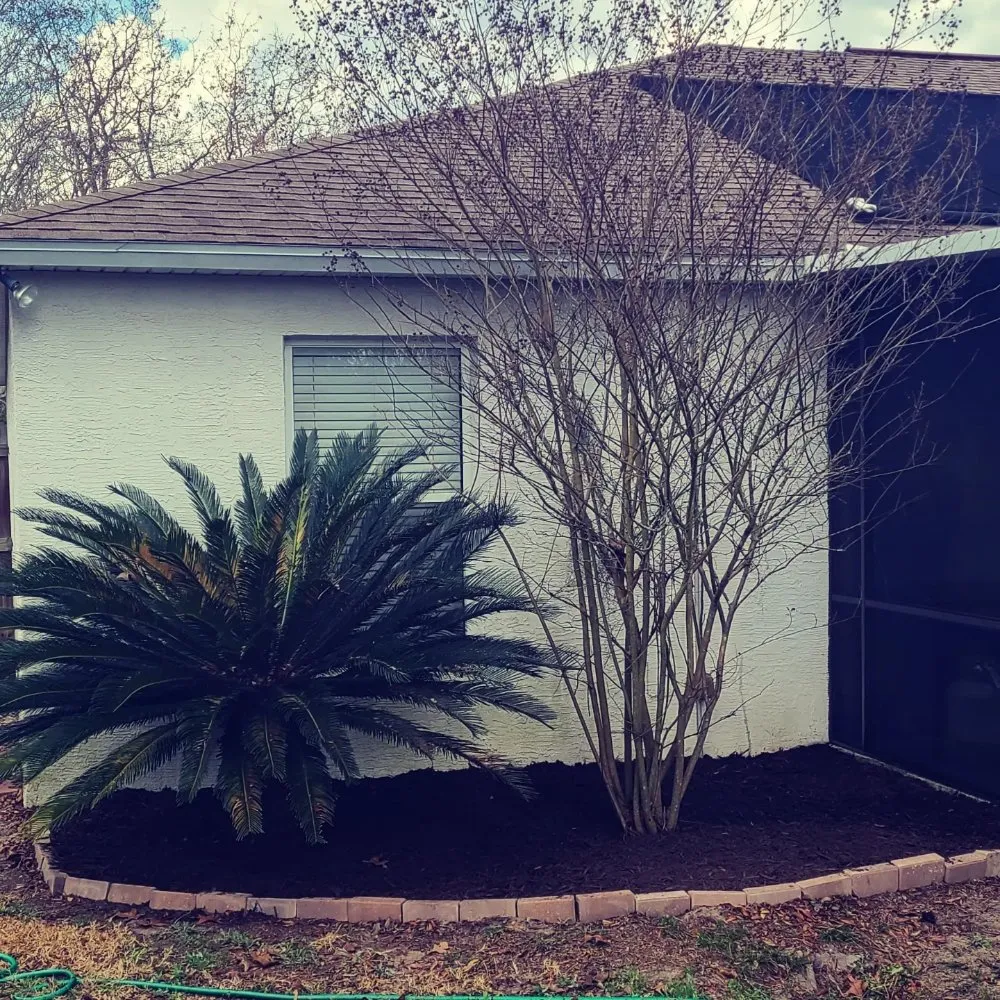 Local yard maintenance in Umatilla, FL by TopNotch Landscaping Services