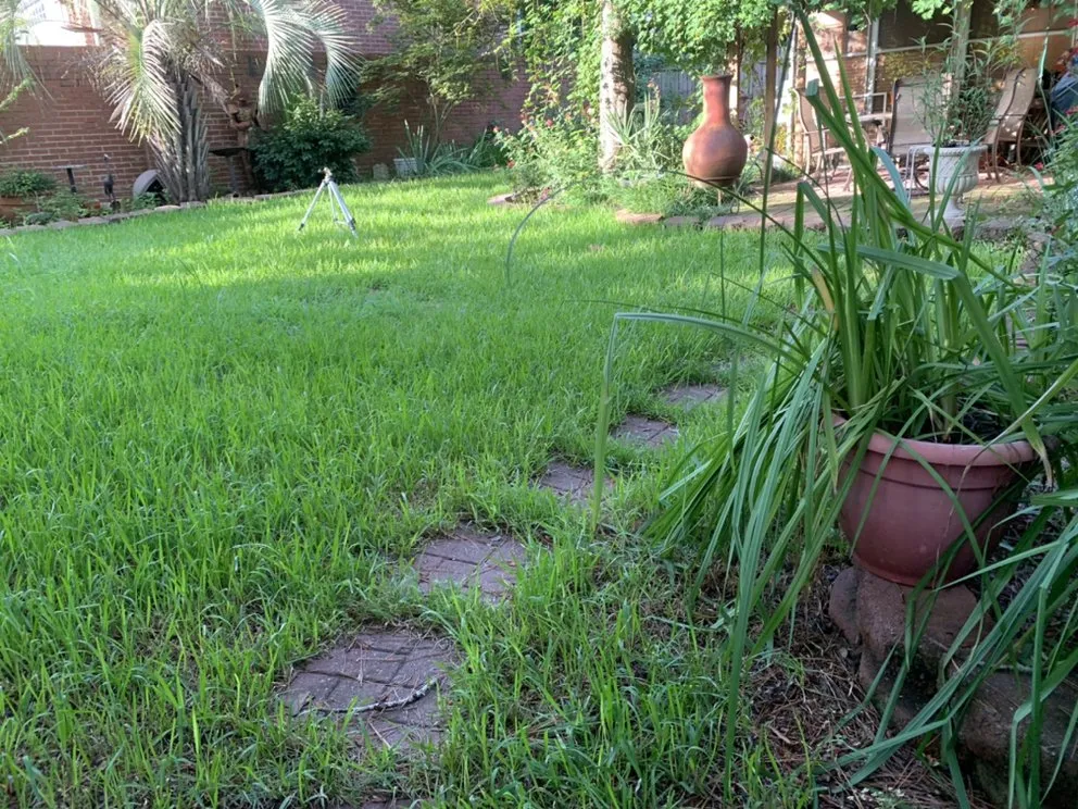 Local outdoor landscaping in Columbia, SC by TopNotch Lawn Services