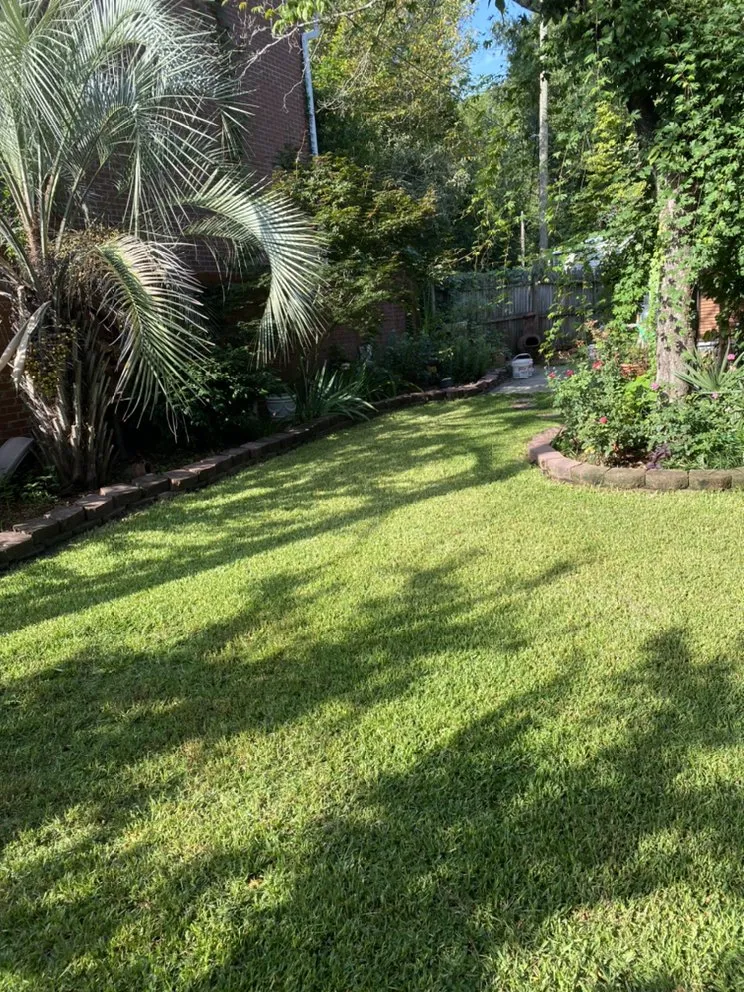 Local landscape installation for outdoor upgrades across Columbia, SC - TopNotch Lawn Services