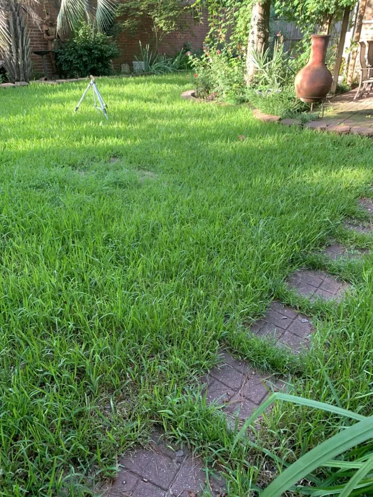 Local yard maintenance in Columbia, SC - TopNotch Lawn Services