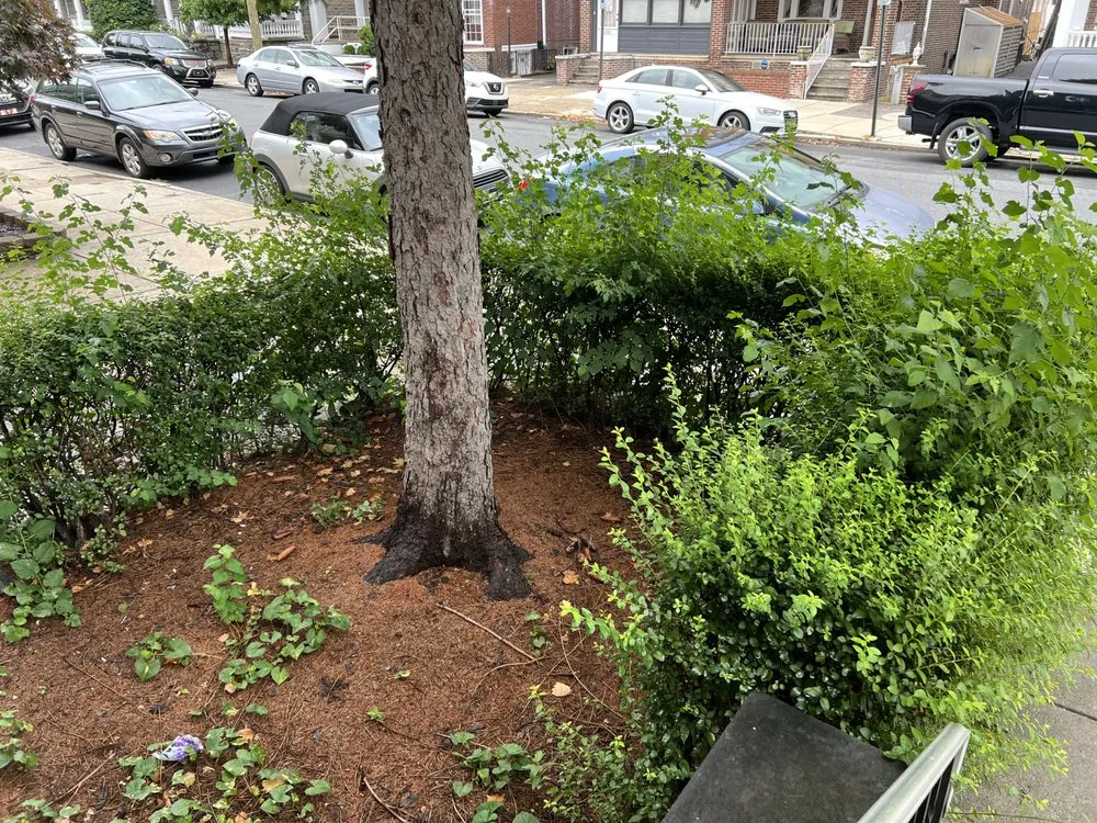 Trusted residential landscaping near you across Philadelphia, PA - topnotch