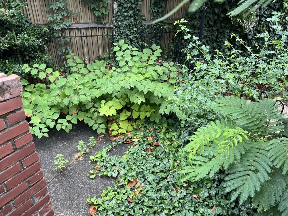 Trusted outdoor landscaping experts serving Philadelphia, PA - topnotch