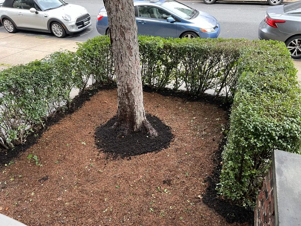 Top-rated yard maintenance in Philadelphia, PA - topnotch