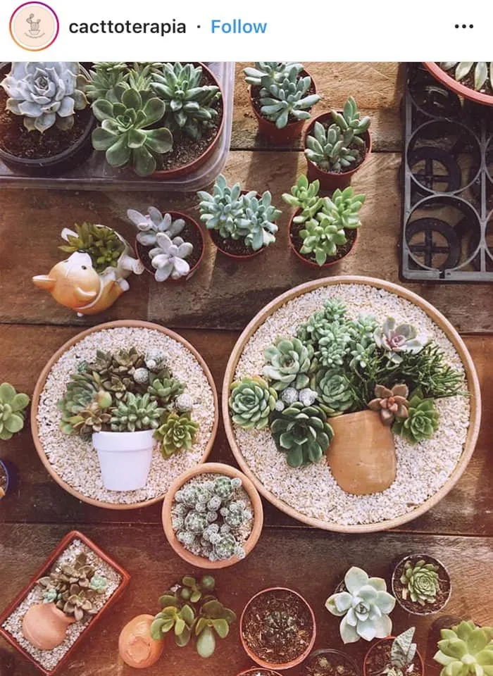 Expert landscaping services experts serving Wayne, PA - Topo Environments