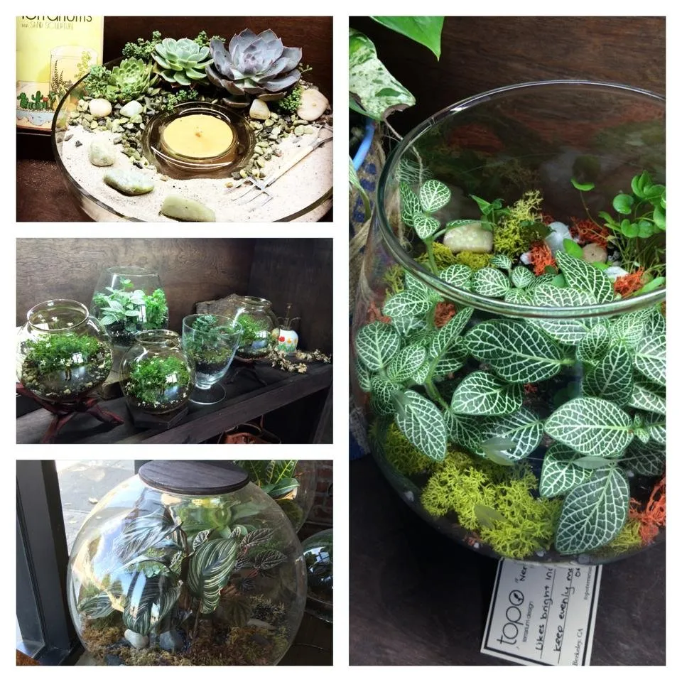 Professional landscaping services in Wayne, PA - Topo Environments