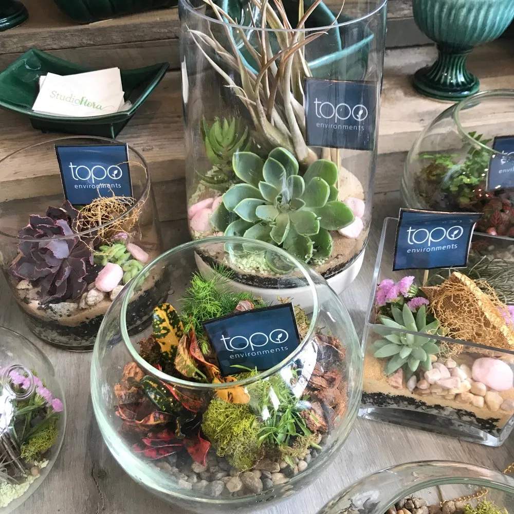 Expert landscape design near you across Wayne, PA - Topo Environments