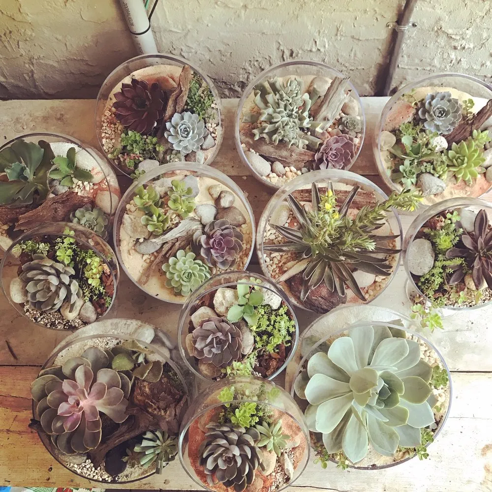 Trusted lawn mowing service in Wayne, PA by Topo Environments