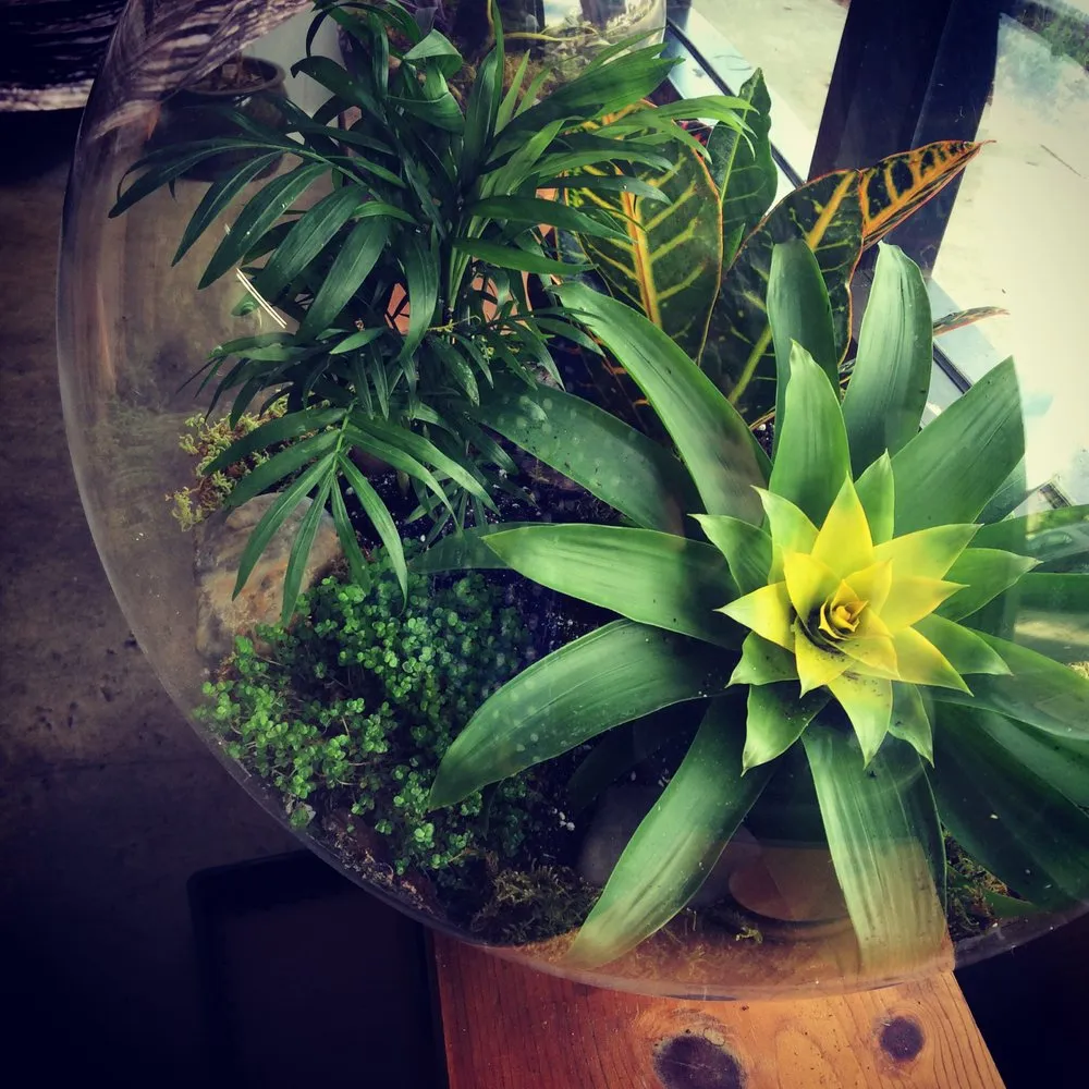 Professional lawn mowing service experts serving Wayne, PA - Topo Environments