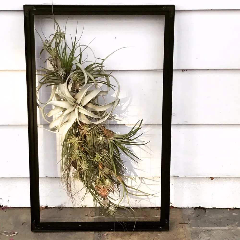 Trusted residential landscaping for homes in Wayne, PA by Topo Environments