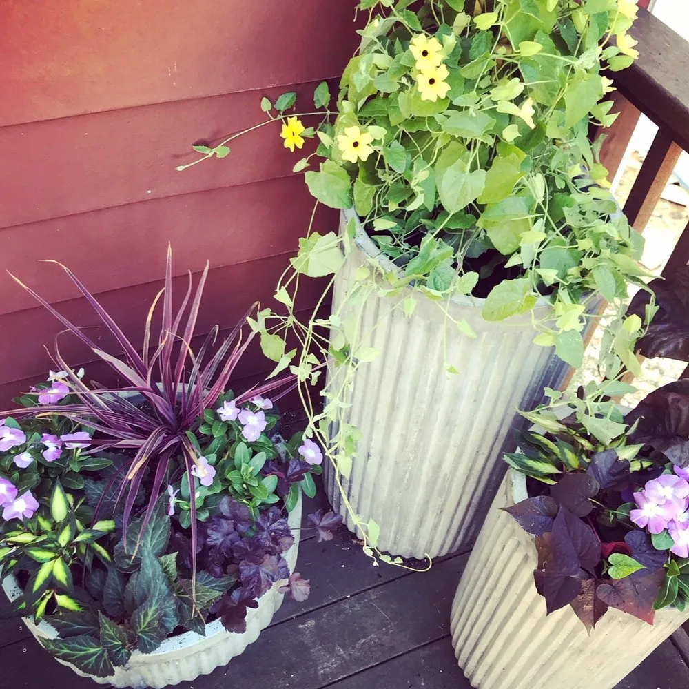 Expert yard maintenance experts serving Wayne, PA - Topo Environments