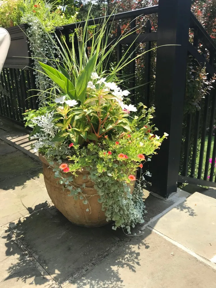 Expert landscape design near you in Wayne, PA by Topo Environments