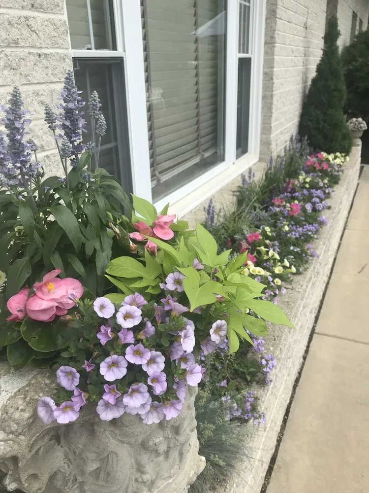 Trusted landscaping services experts serving Wayne, PA - Topo Environments