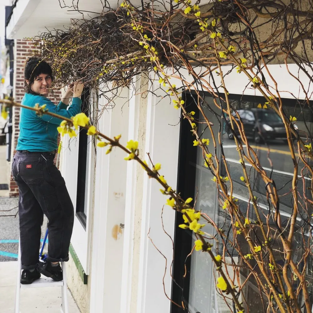 Expert yard maintenance for beautiful yards across Wayne, PA - Topo Environments