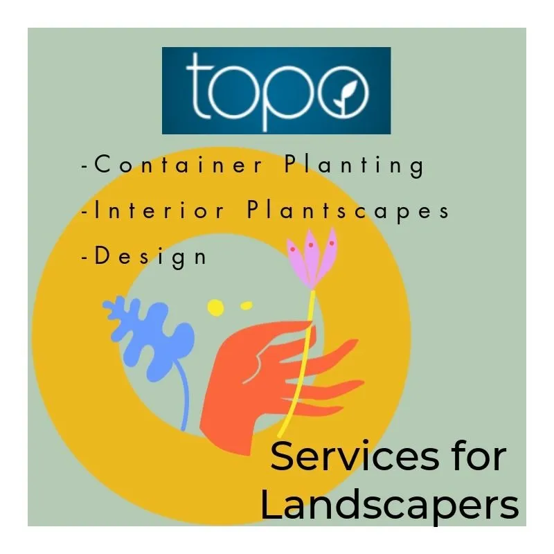 Trusted yard maintenance in Wayne, PA - Topo Environments