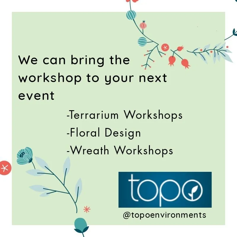 Top-rated lawn care service experts serving Wayne, PA - Topo Environments