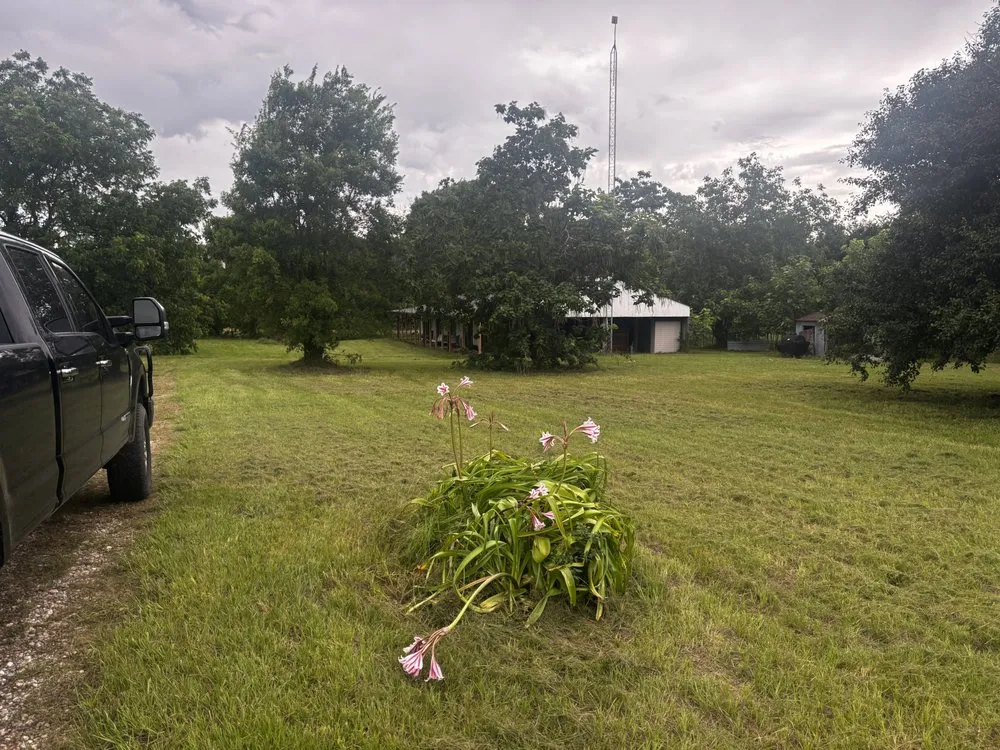 Top-rated yard maintenance for outdoor upgrades in Athens, TX by Topographical Lawn Care