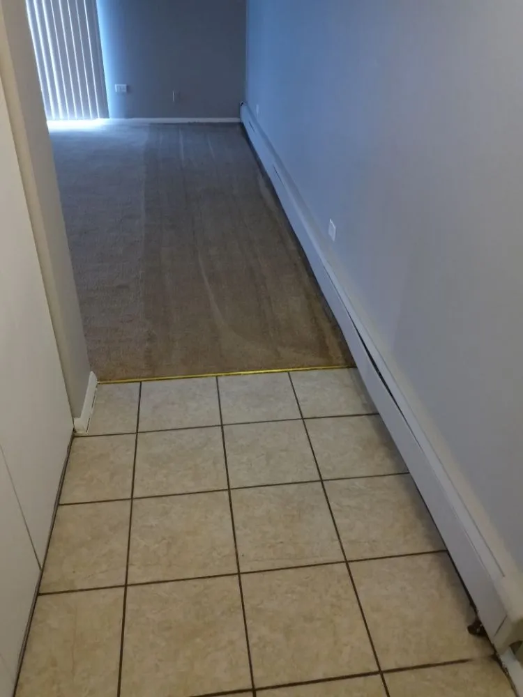 Reliable yard maintenance experts serving Highland, IN - TOPP 2 BOTTOM